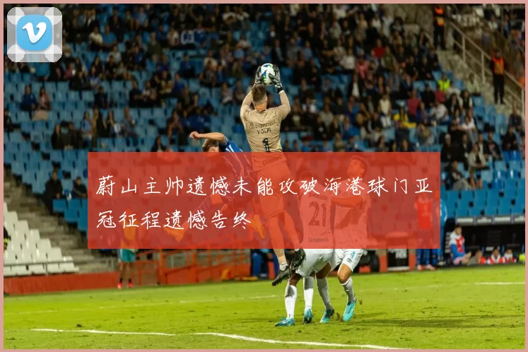 蔚山主帅遗憾未能攻破海港球门亚冠征程遗憾告终
